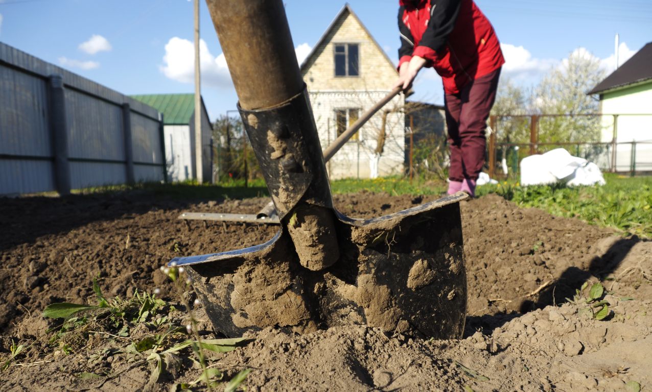 Tuinrenovatie